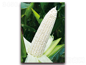 ��Ŵ1607-��Ŵ���׷N��-���r��