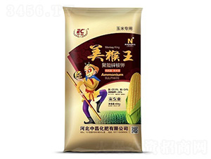 �����\�@�-�������в�