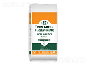 ˮ�������辷�-�в�