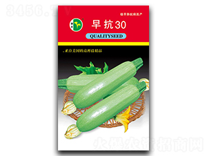 �翹30-�����J�N��-���S�N�I(y��)