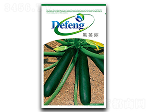 ������-�����J�N��-���S�N�I(y��)