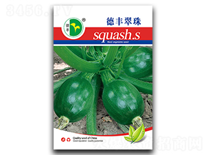 ���S����-�����J�N��-���S�N�I(y��)