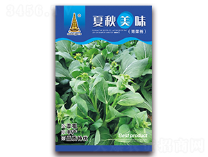 ������ζ-���̦�N��-�н��r�I