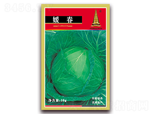 媛春甘藍-甘藍種子-中江農業