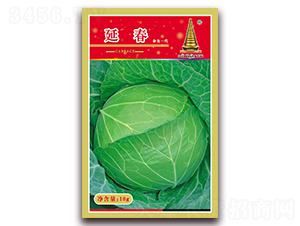 延春-甘藍種子-中江農業