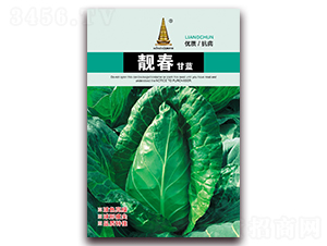 靚春甘藍-甘藍種子-中江農業