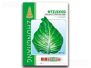 春峰602甘藍-甘藍種子-中江農業