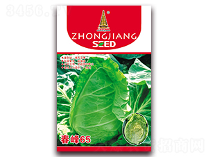 春峰65-甘藍種子-中江農業