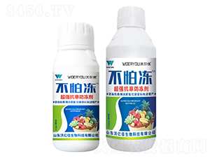 ����������-����-�֠���