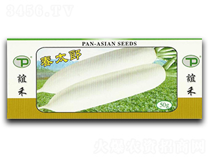 ��̫��-�}���N��-�x��