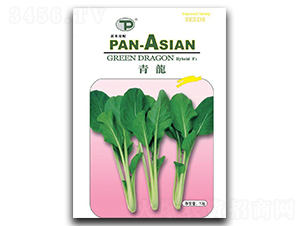 �����˷N��-�x��