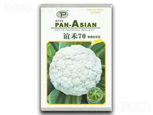 �x��70-�ɻ��˷N��-�x��