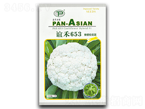 誼禾653-松花菜種子-誼禾