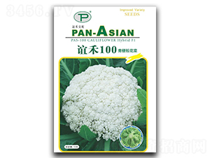 誼禾100-松花菜種子-誼禾