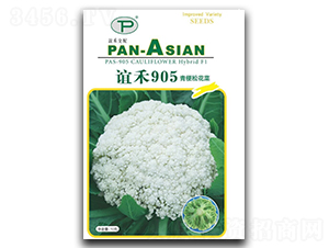 誼禾905-松花菜種子-誼禾