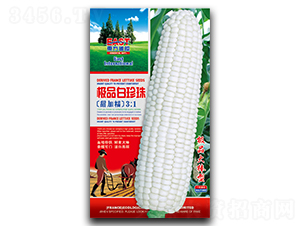 �OƷ������-Ŵ���׷N��-�����_