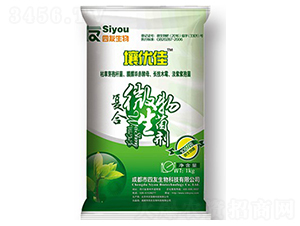 ��(f��)���������-����(y��u)��-��������