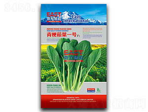 �๣ݿ��һ̖-�๣ݿ�˷N��-�����_