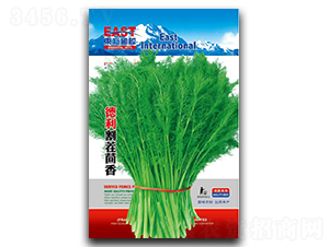 �����������-����N��-�����_