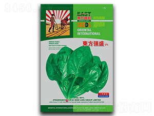 �|����ʢ-���˷N��-�����_