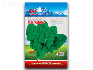 �|�پ���-���˷N��-�����_