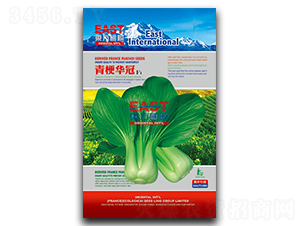 �๣�A��-�Ͳ˷N��-�����_