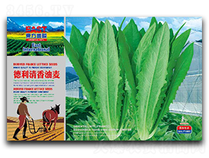 ������������-�����˷N��-�����_