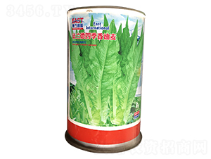 ���m���ļ������������b��-�����˷N��-�����_