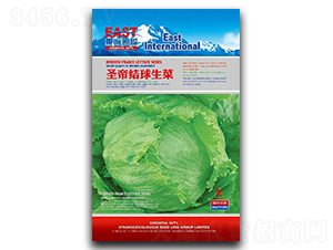 ʥ�۽Y������-���˷N��-�����_