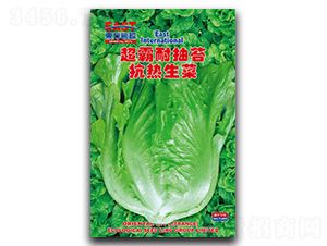 �����ͳ�̦����-���˷N��-�����_