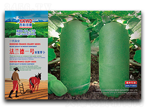 ���m��һ̖-�}���N��-�����_