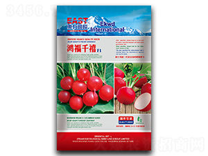 ����ǧ��-�}���N��-�����_