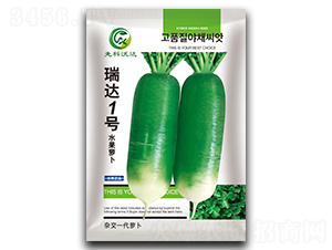 ���_1̖-�}���N��-�����_