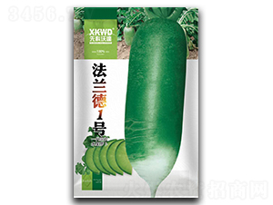 ���m��1̖-�}���N��-�����_