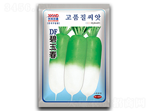 DF���񴺣�����-�}���N��-�����_