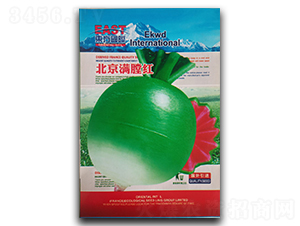 �����M�üt-�}���N��-�����_