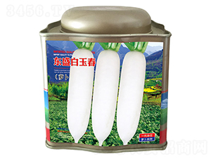 �|ʢ���񴺣��ޣ�-���}���N��-�����_