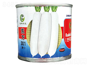 �|��301���ޣ�-���}���N��-�����_