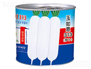 ������313���ޣ�-���}���N��-�����_