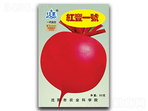 �t�Sһ̖-�}���N��-�S�r�r�I