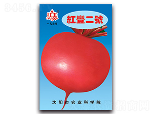 �t�S��̖-�}���N��-�S�r�r�I