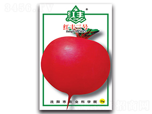 �t�S��̖-�}���N��-�S�r�r�I