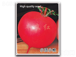 �S�r�t-�}���N��-�S�r�r�I