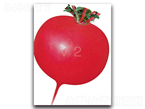 �S�r�tv2-�}���N��-�S�r�r�I