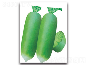 �S�r����-�}���N��-�S�r�r�I