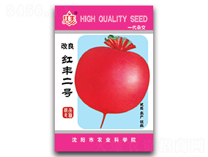 �����t�S��̖-�}���N��-�S�r�r�I