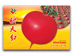 ӳ��t-�}���N��-�S�r�r�I