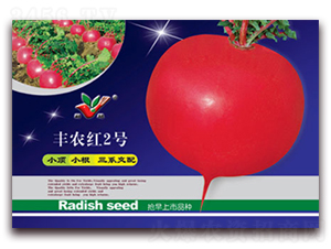 �S�r�t2̖-�s���}���N��-�S�r�r�I