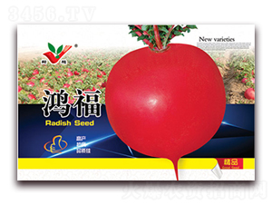 ����-�}���N��-�S�r�r�I