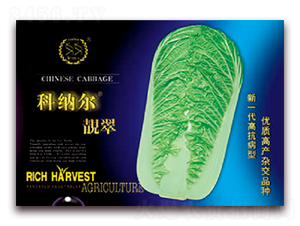 �Ƽ{���n��-�ײ˷N��-�S�r�r�I